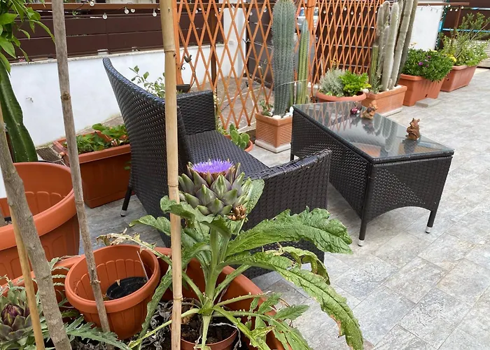 Officinale Rome , Pineta Sacchetti